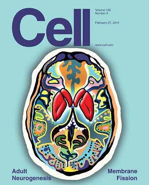 Revista Cell