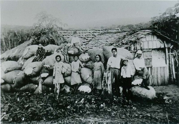 Inmigrantes japoneses en Brasil