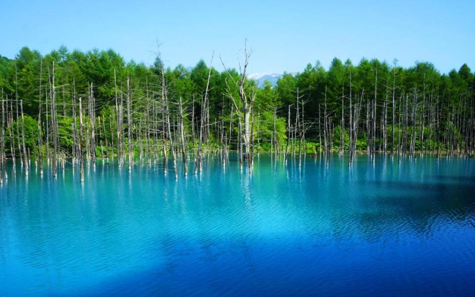 Aoi ike (Blue Pond), Hokkaido