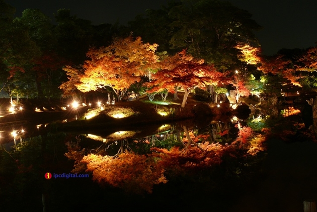8 Jardines del castillo Hikone jyo en Shiga