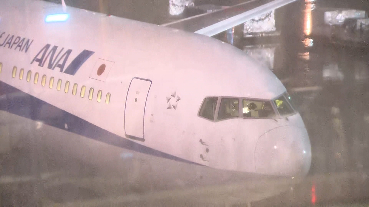 Avión fletado