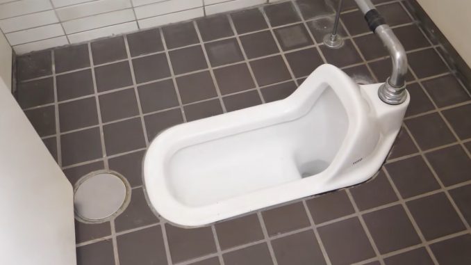 1 de cada 4 niños evita usar los baños de estilo japonés en la escuela