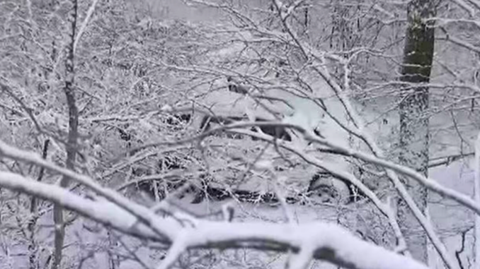 Coche accidentado en Nagano (TBS)