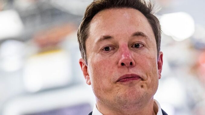 Elon Musk (Foto Steve Sorensen Networth)