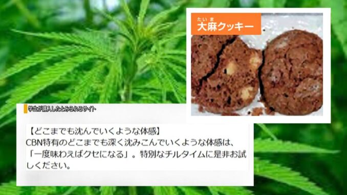 Galleta con características similares a las investigadas, (imagen del sitio oficial del Ministerio de Salud)