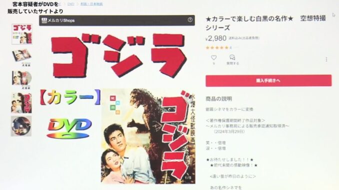 Plataforma utilizada por Miyamoto para vender DVDs colorizados ilegalmente.